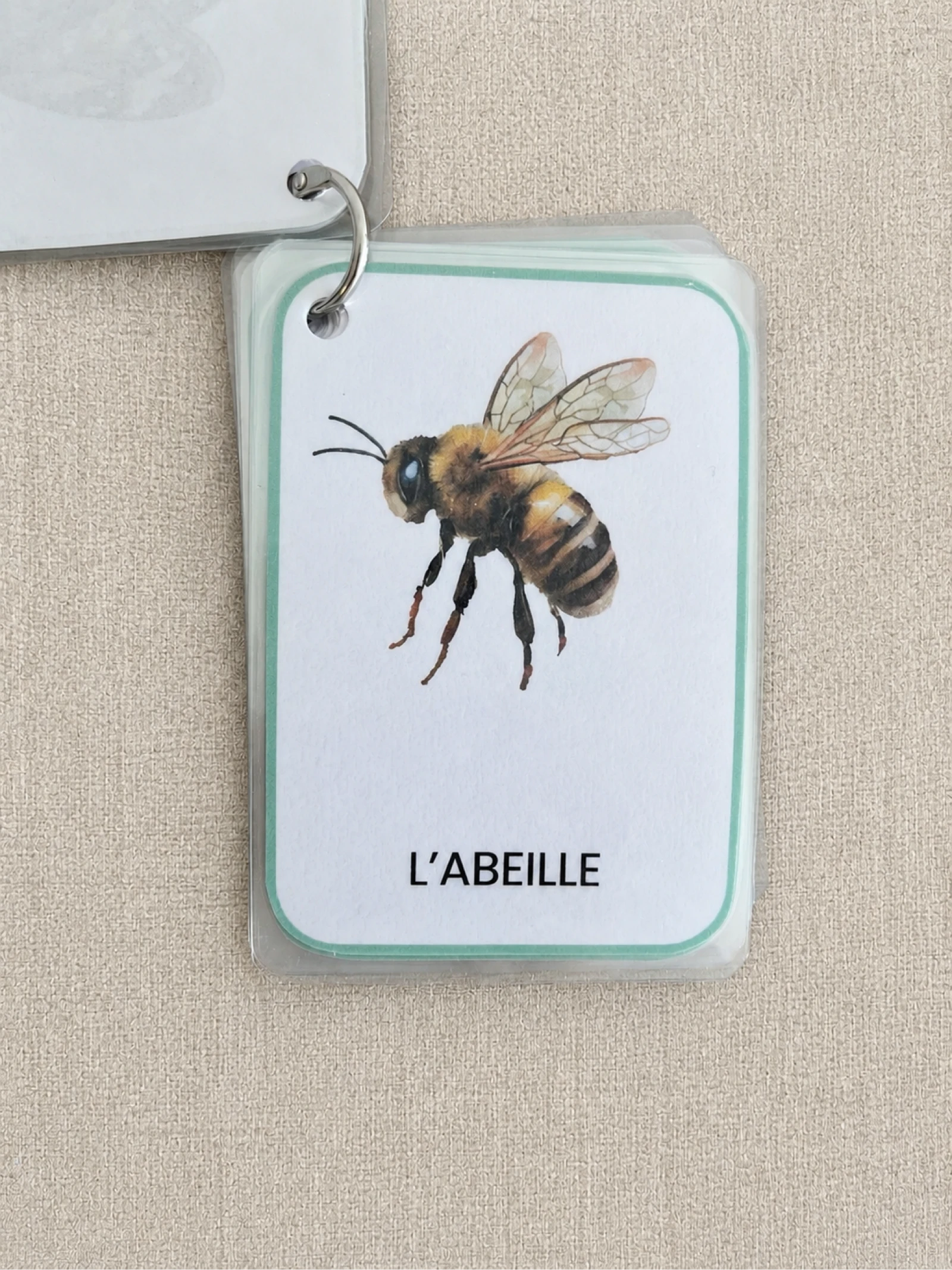 Mon imagier des insectes  – photo 2